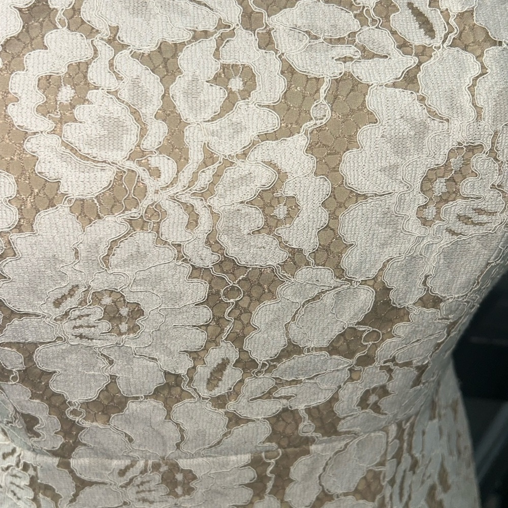 Alice + Olivia Cream Floral Lace Mini Dress - Picture 6 of 10
